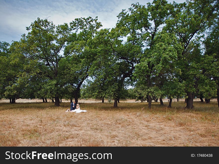 Picnic Of Bride And Groom