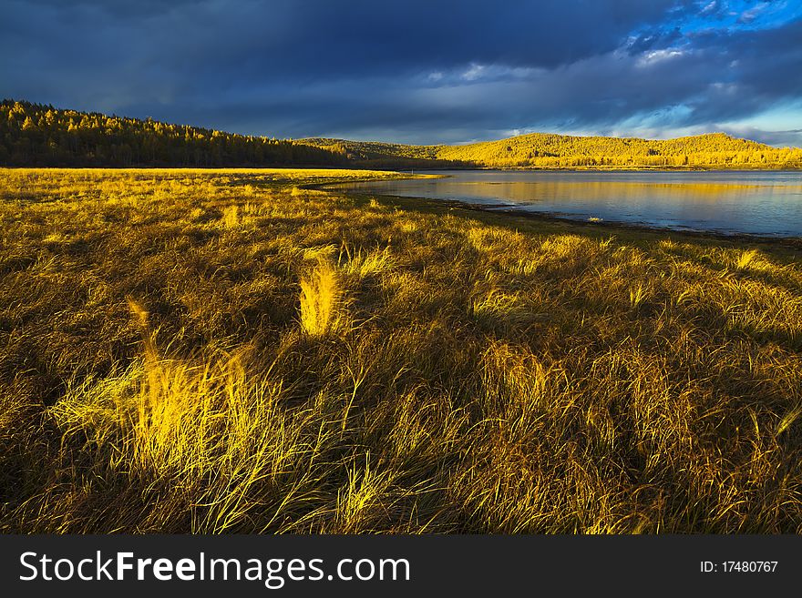 Lake And Forest In Autumn