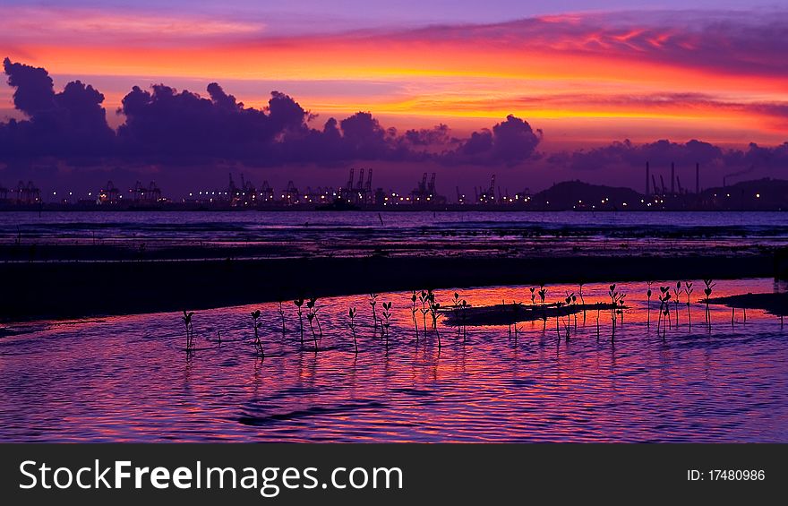 Colourful Sunset At Beach