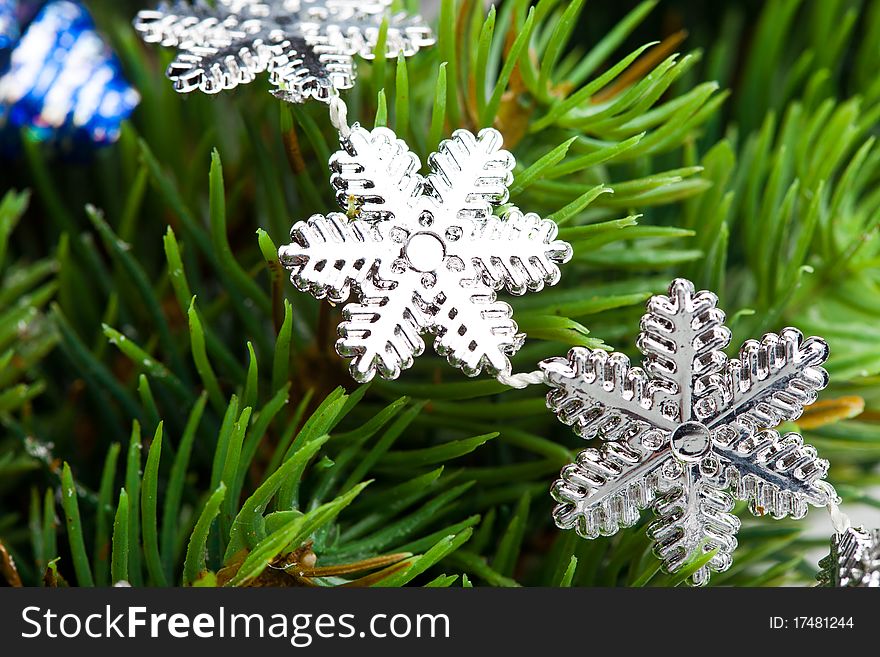 Branch of Christmas tree with snowflake