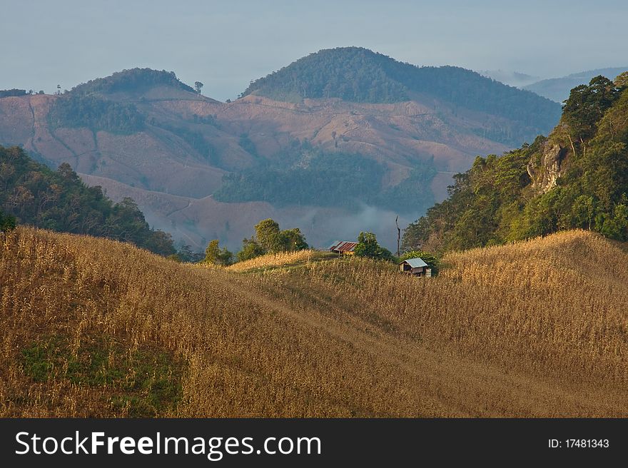 Hut in the valley  , northern of Thailand