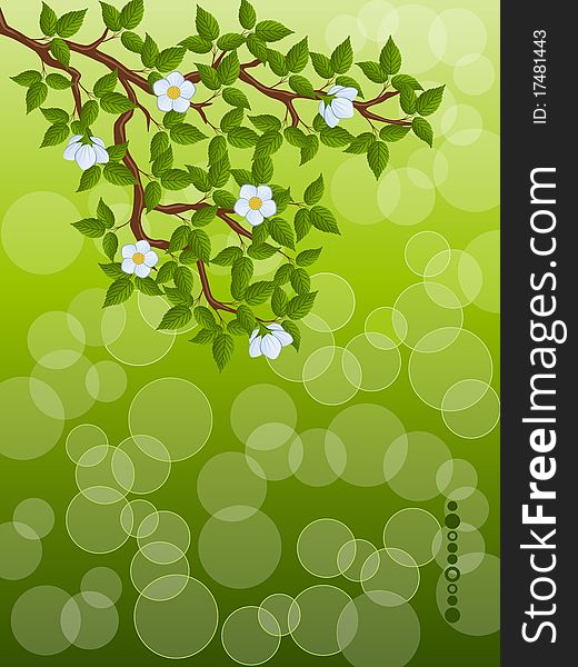 Floral background with a tree branch. Vector illustration.