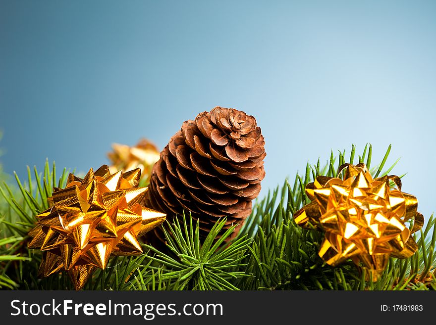 Branch of Christmas tree with bow