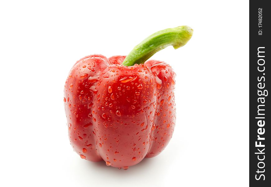 Red pepper on white background