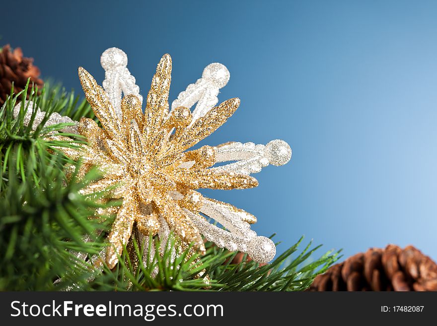 Branch of Christmas tree