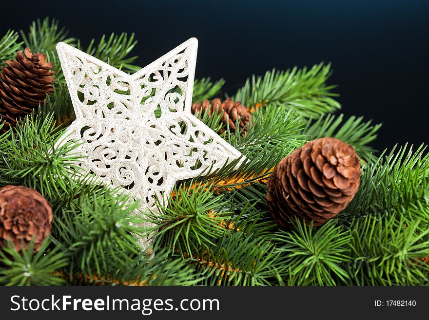 Branch of Christmas tree with star