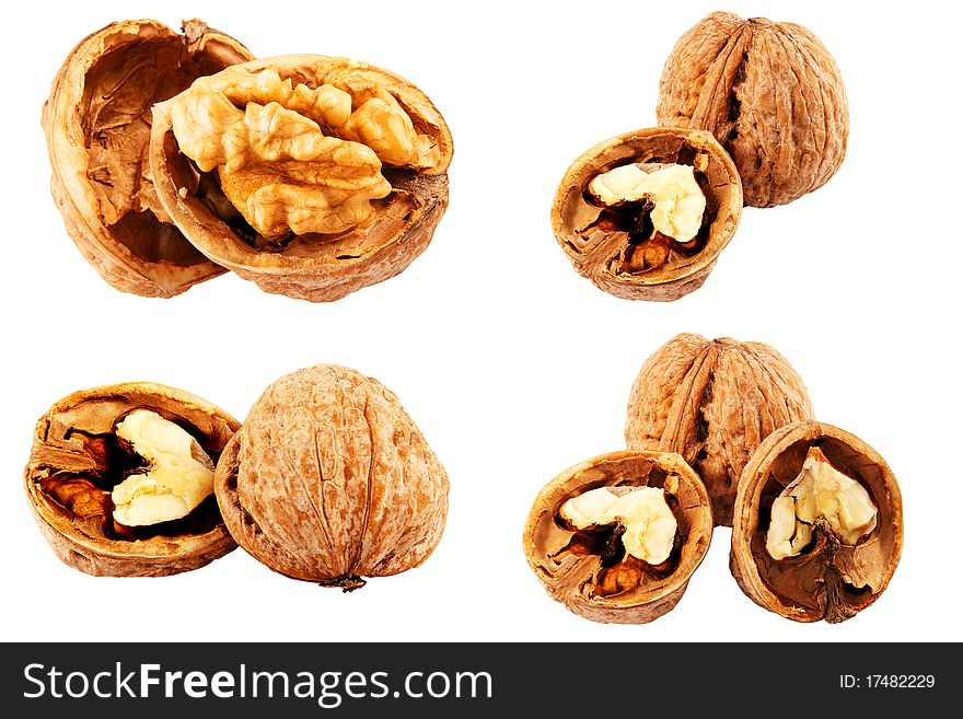 Walnuts in different perspectives isolated on white background