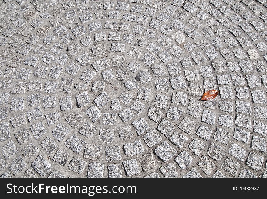 The lonely sheet has fallen from a tree to a stone blocks