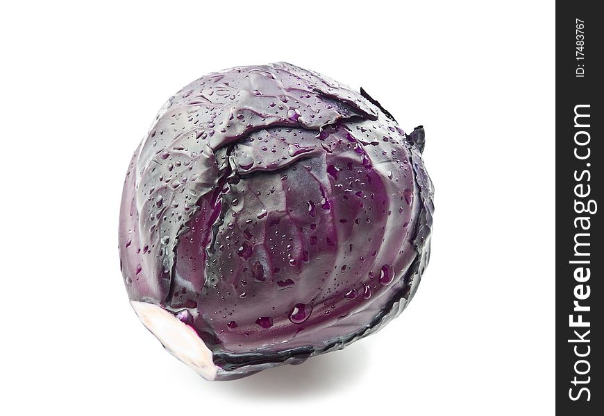 Purple Cabbage