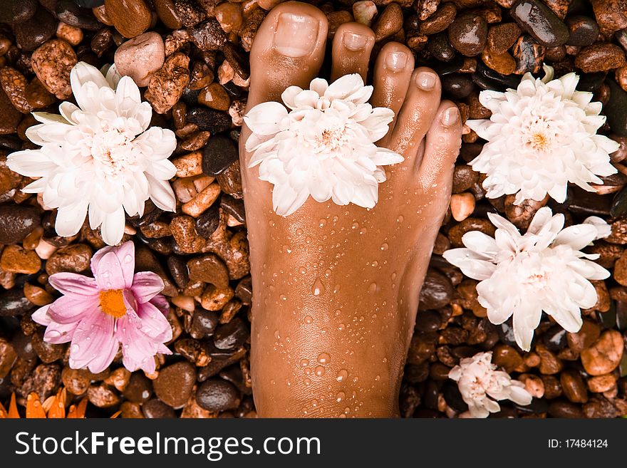 Bronzed wet foot on a stone beach with flowers