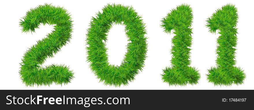 High resolution conceptual grass 2011 year isolated