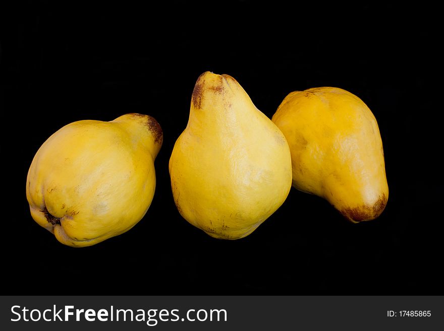Three yellow quinces in isolated on black background. Three yellow quinces in isolated on black background