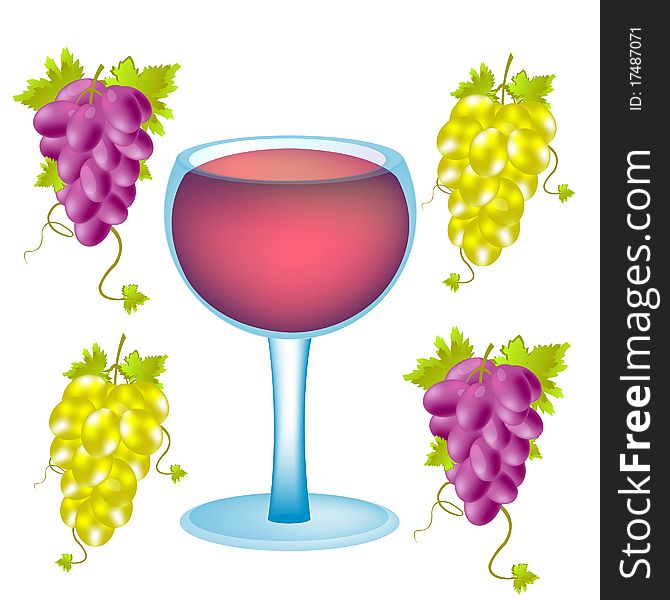 Goblet blame and cysts of grape. Goblet blame and cysts of grape