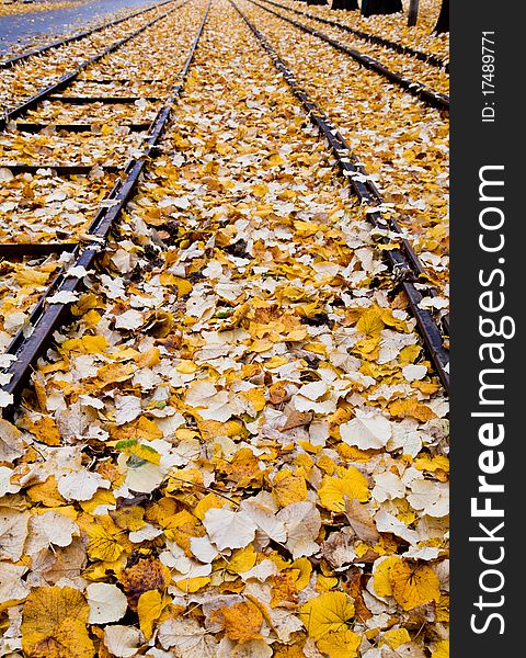 Railway covered by autumn foliage, Torino, Italy. Railway covered by autumn foliage, Torino, Italy