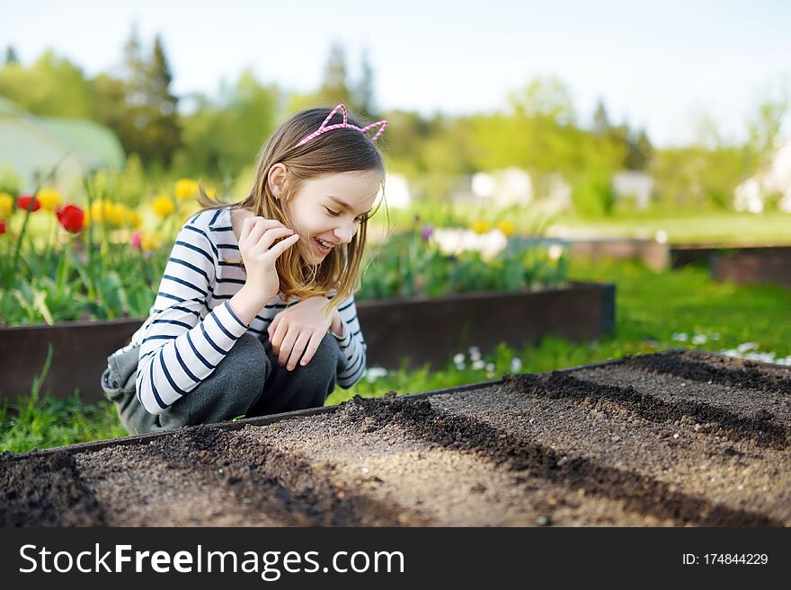 Cute Young Girl Helping To Plant Seedlings In A Garden. Children Taking Part In Outdoor Household Chores