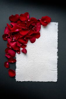 Beautiful Frame Of Red Rose Petals With Place For Text. Handmade Paper Sheet, Textured Surface. Greeting Card For The Holiday Royalty Free Stock Photography