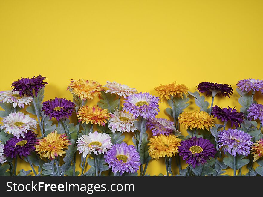 Spring flowers on yellow background. Empty space for design