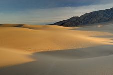 Mesquite Sand Dunes Stock Photo