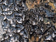 White Peeling Paint. Royalty Free Stock Images White Peeling Paint. Royalty Free Stock Images