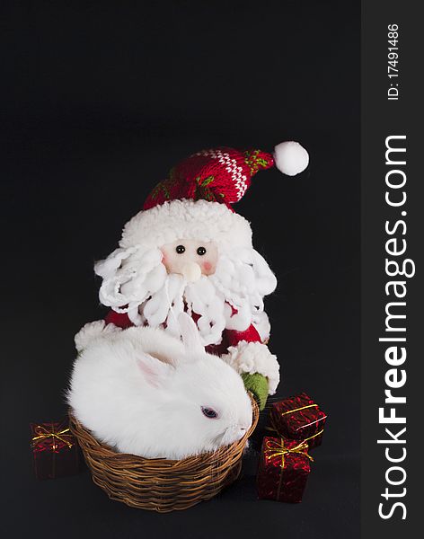 Christmas White Rabbit