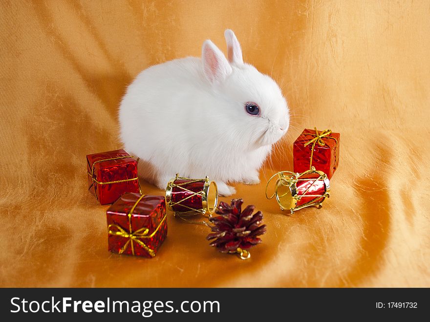 Christmas white rabbit symbol of the Chinese New Year 2011. Christmas white rabbit symbol of the Chinese New Year 2011