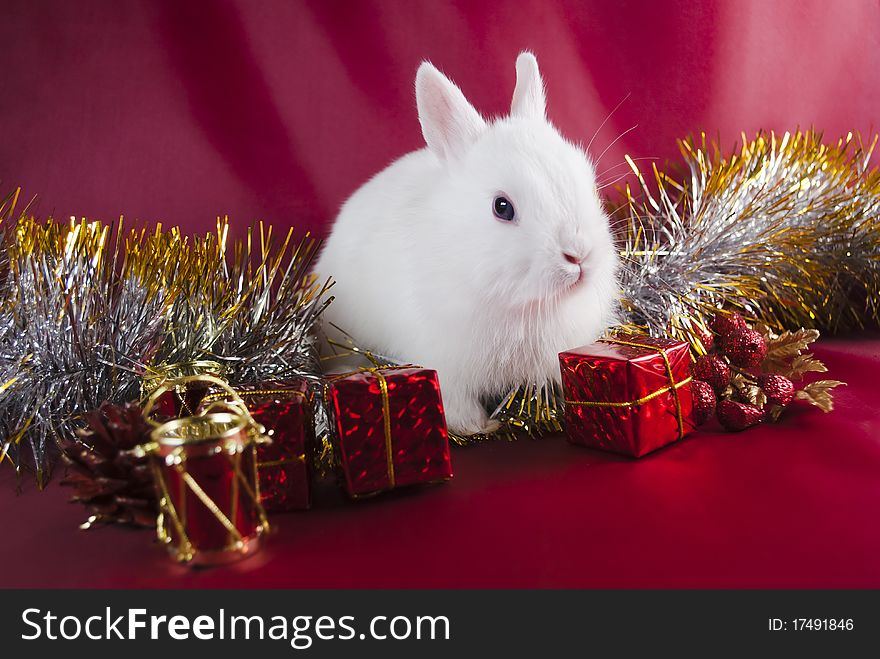 Christmas Rabbit On Red Background