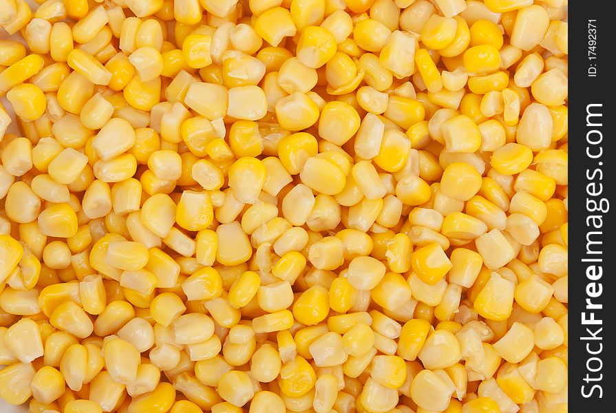 Background of yellow ripe appetizing wet corn. Background of yellow ripe appetizing wet corn