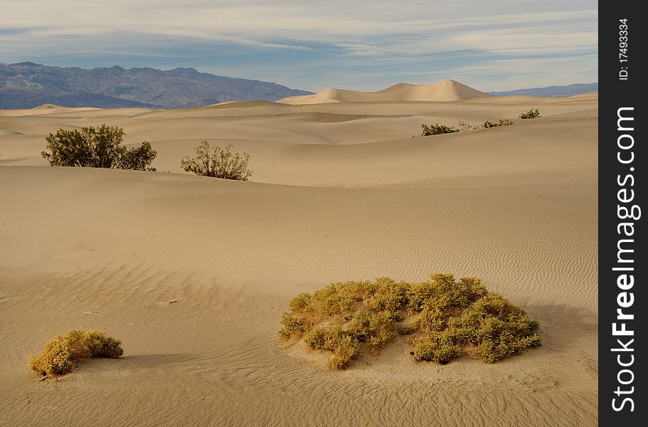 Mesquite Flat Sand Dunes in Death Valley National Park, California. Mesquite Flat Sand Dunes in Death Valley National Park, California