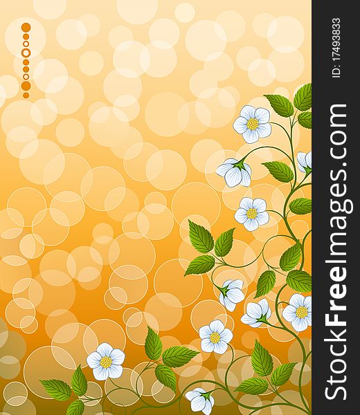 Floral Background