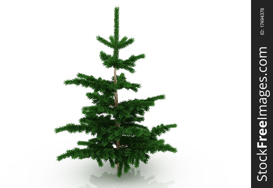 Big Christmas tree on the mirror surface â„–5. Big Christmas tree on the mirror surface â„–5