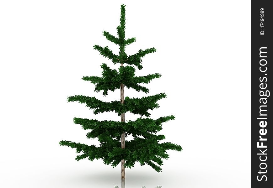 Big Christmas tree №6