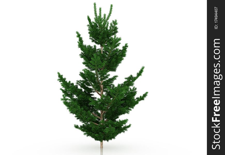 Big Christmas Tree â„–7