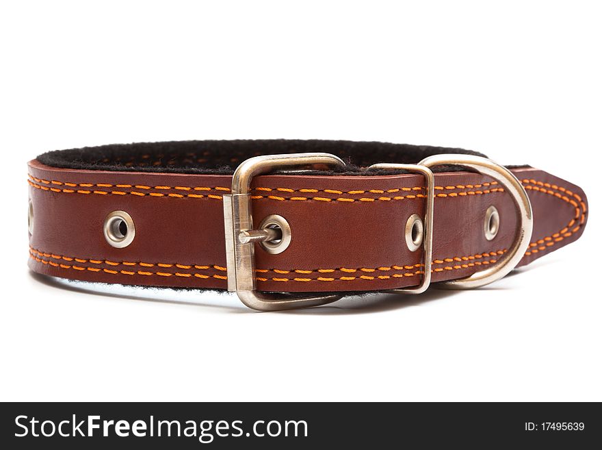 Leather dog collar on a white background