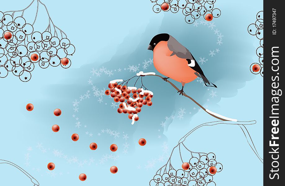 Bullfinch On Ashberry