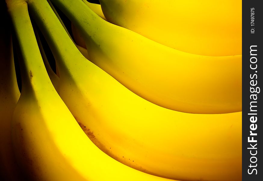 A Hand Of Bananas