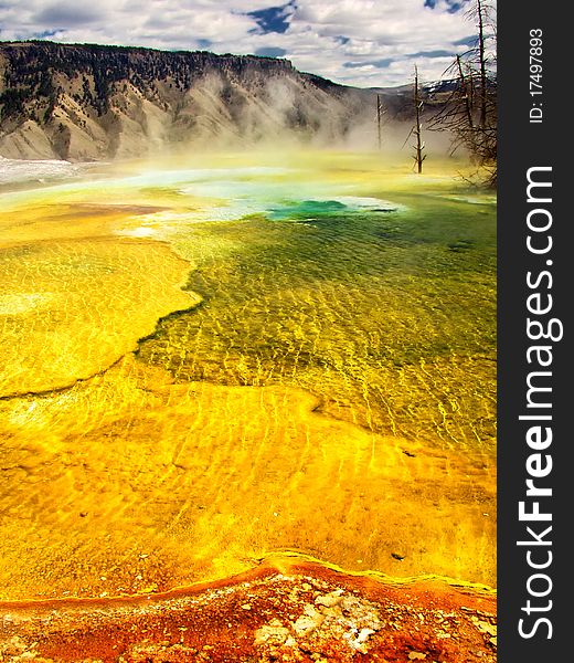 A view of a hot spring in Yellowstone. A view of a hot spring in Yellowstone