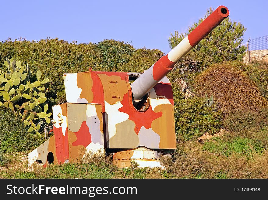 Old camouflage cannon in the frontier line