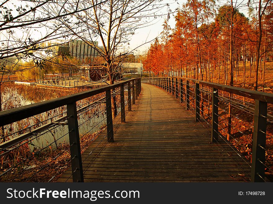 A path with trees in autumn