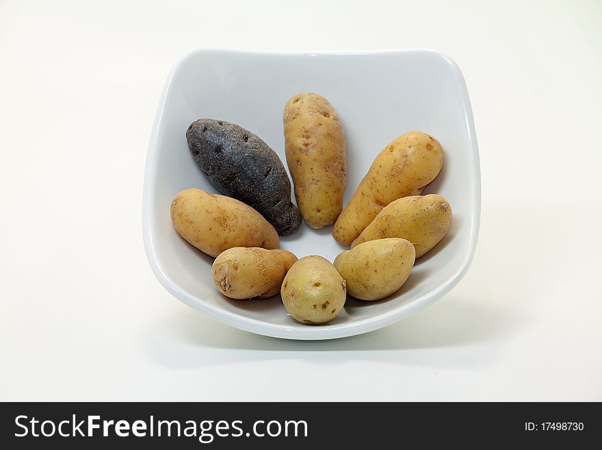 Diversity themed fingerling potatoes on white bowl; white background. Diversity themed fingerling potatoes on white bowl; white background.