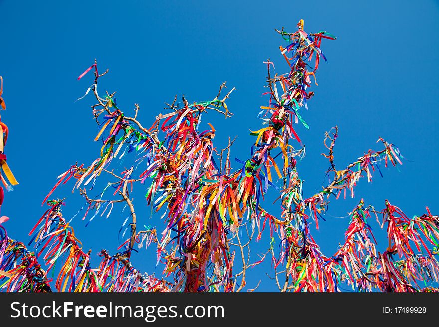 Wish Tree branches tied with colorful ribbons