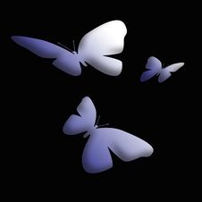 Moths In The Dark Art Royalty Free Stock Images