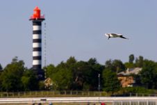 Flying Seagull And Lighthouse Stock Images Flying Seagull And Lighthouse Stock Images