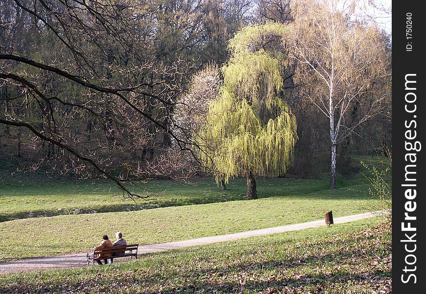 Romantic scenery from the public park in springtime. Romantic scenery from the public park in springtime