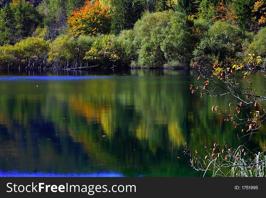 Autumn reflection on water surface