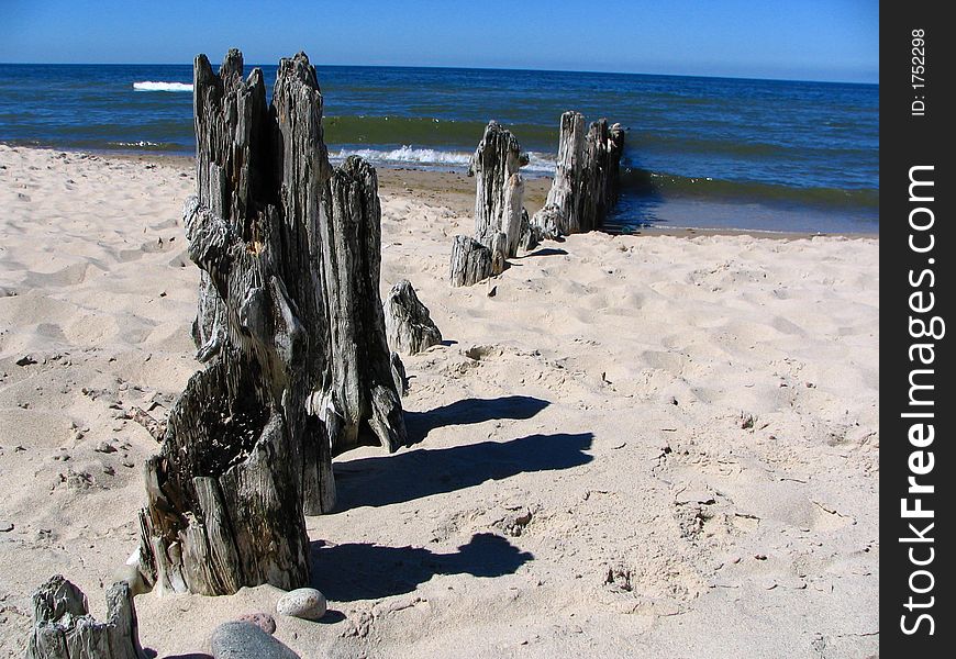 Erosion in wood made by sea waves. Erosion in wood made by sea waves