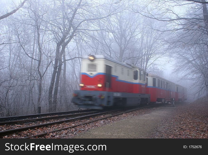 Light railway in the middle of the forest