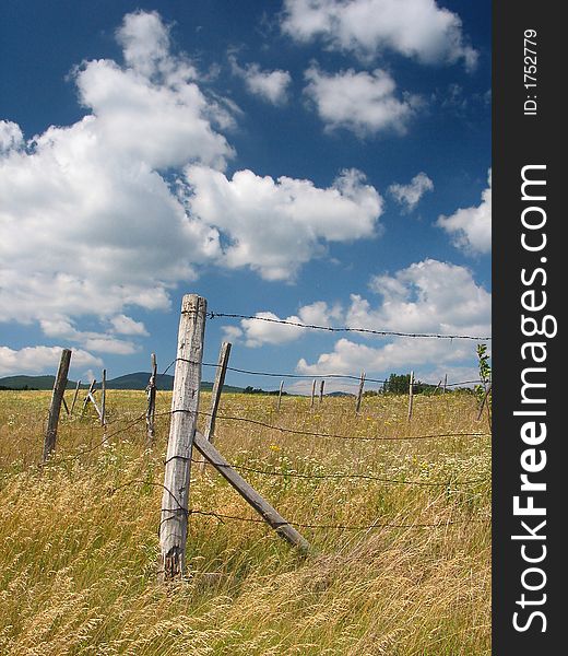 A barbed wire fence in the middle of the meadow