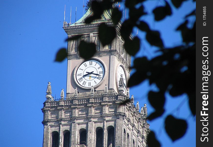 Tower clock behind leafage in Warsaw.