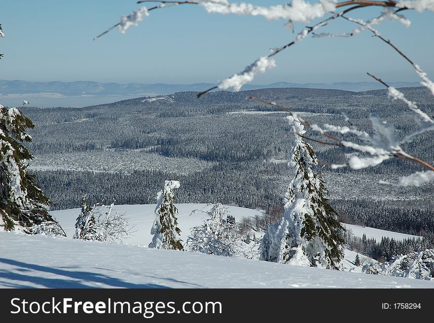 Snowy mountains and trees on sunny winter day