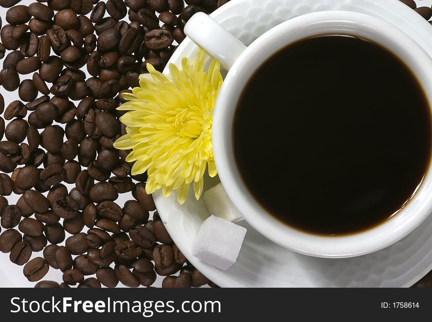 Close up of white coffee cup with coffee-beans, sugar canes and yellow flower. Close up of white coffee cup with coffee-beans, sugar canes and yellow flower